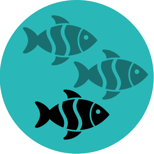 Pesca na Praia